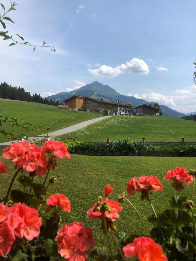 Appartement Kaiserluft Sankt Johann in Tirol Εξωτερικό φωτογραφία